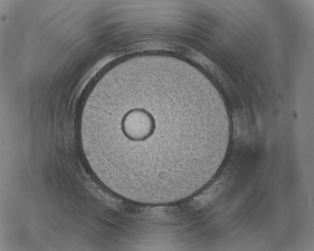 X0000068890828200605122031