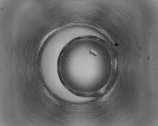 X0000068890830200605122032