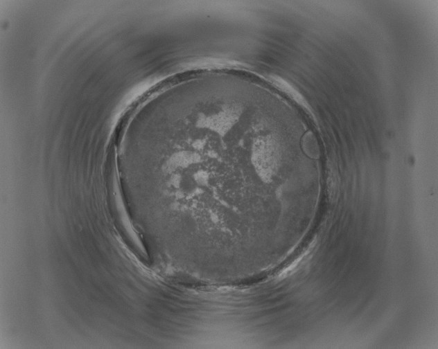 X0000068890831200605122032