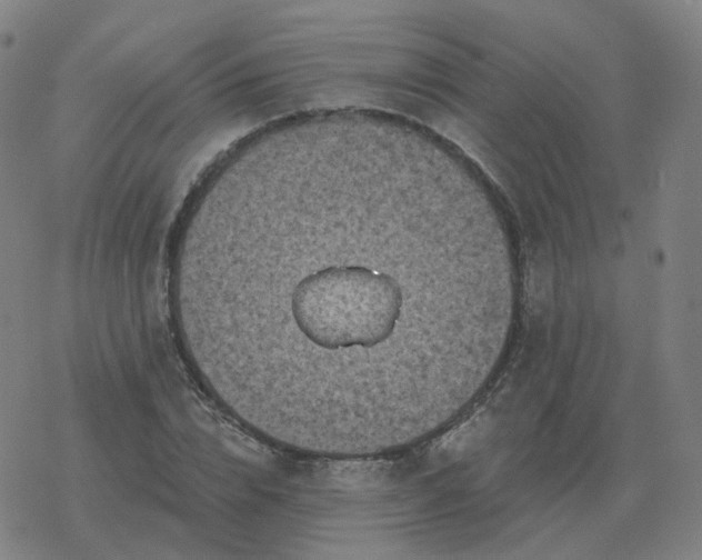 X0000068890832200605122032