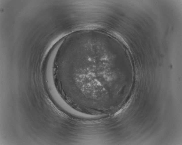 X0000068890835200605122032