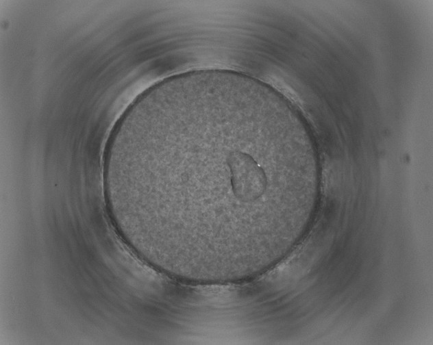 X0000068890836200605122032