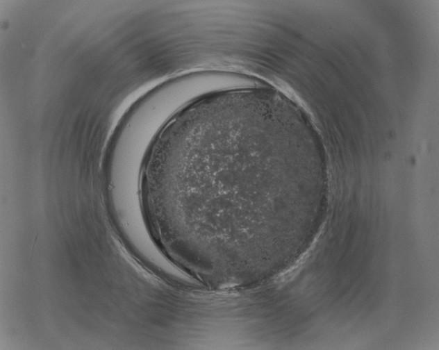 X0000068890838200605122032