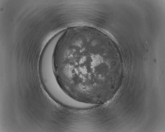 X0000068890839200605122032