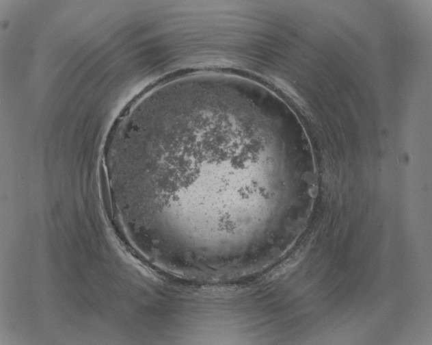 X0000068890840200605122032