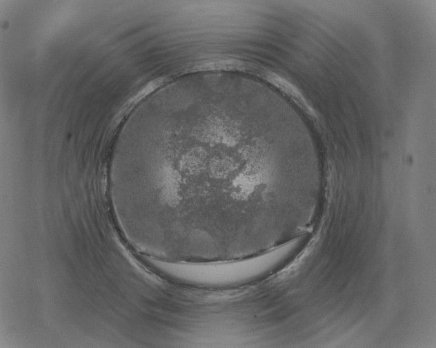 X0000068890841200605122032