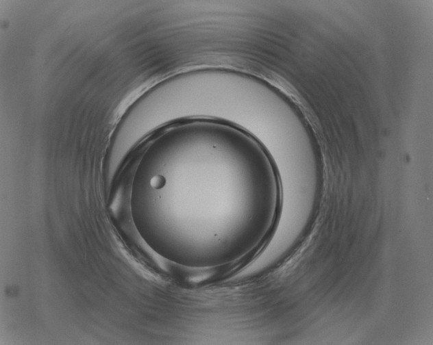 X0000068890842200605122032