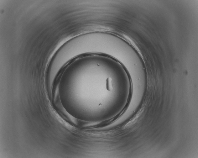 X0000068890843200605122032