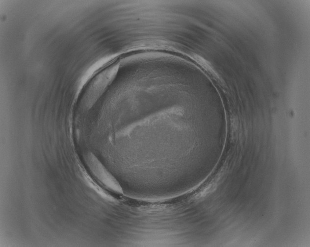 X0000068890846200605122032