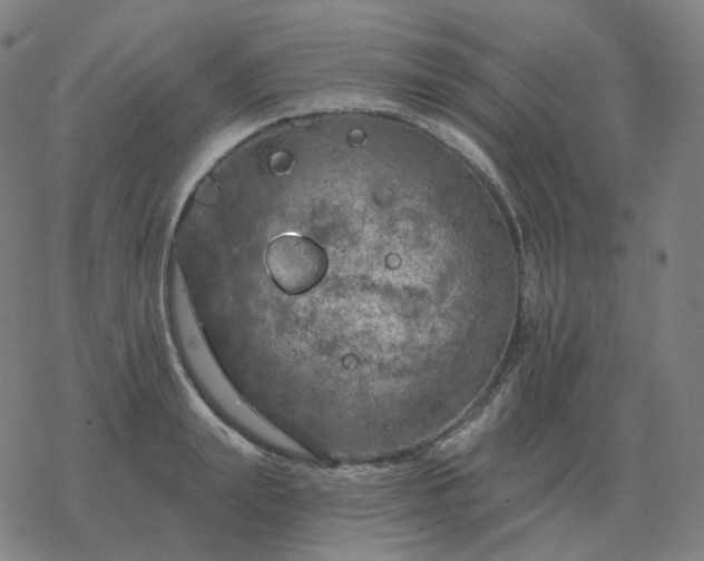 X0000068890847200605122032