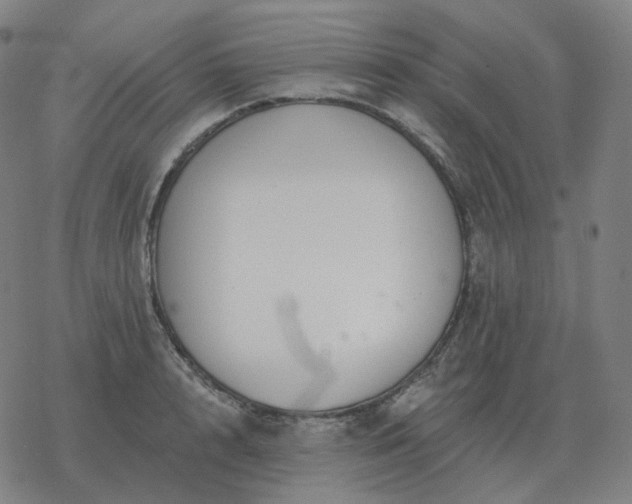 X0000068890848200605122032