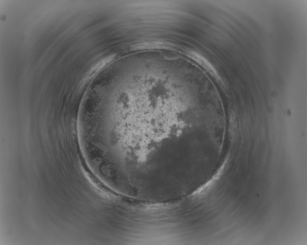 X0000068890849200605122032