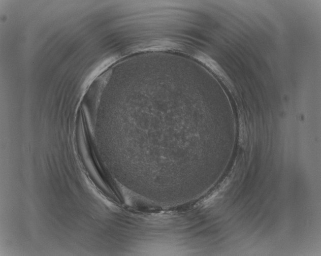 X0000068890850200605122032