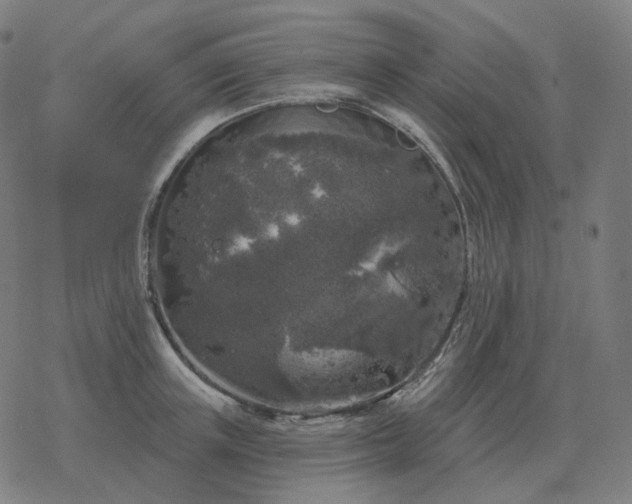 X0000068890851200605122032