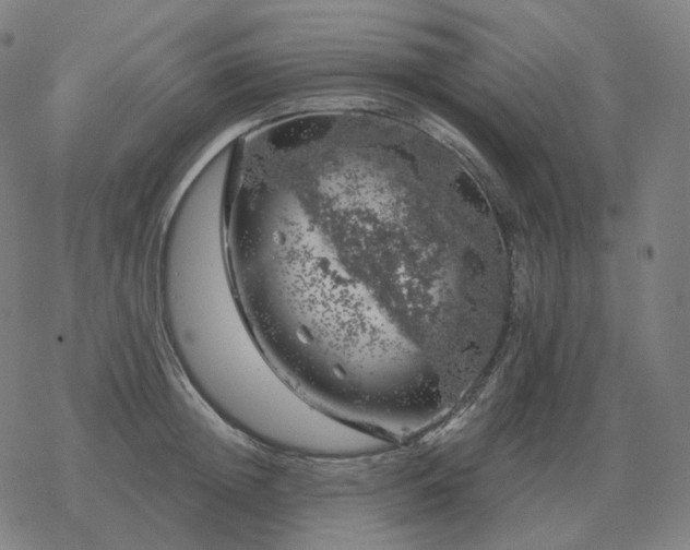 X0000068890852200605122032