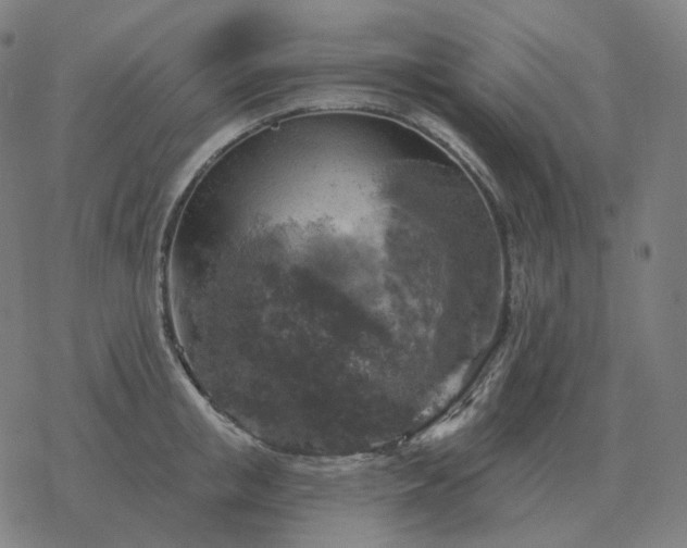 X0000068890853200605122032