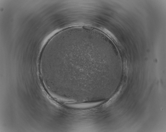 X0000068890854200605122032