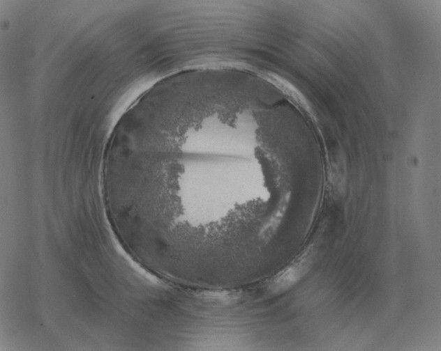 X0000068890855200605122032