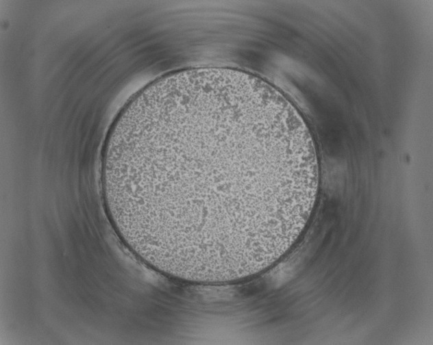 X0000068890856200605122032