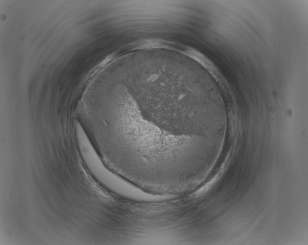 X0000068890857200605122032