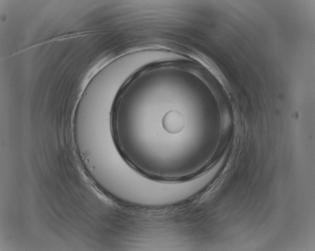 X0000068890858200605122032