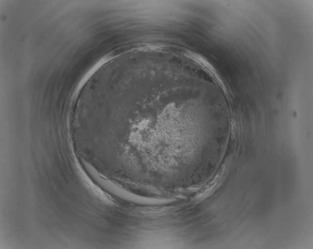 X0000068890859200605122032