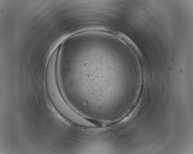 X0000068890860200605122032