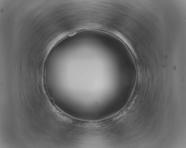 X0000068890861200605122032