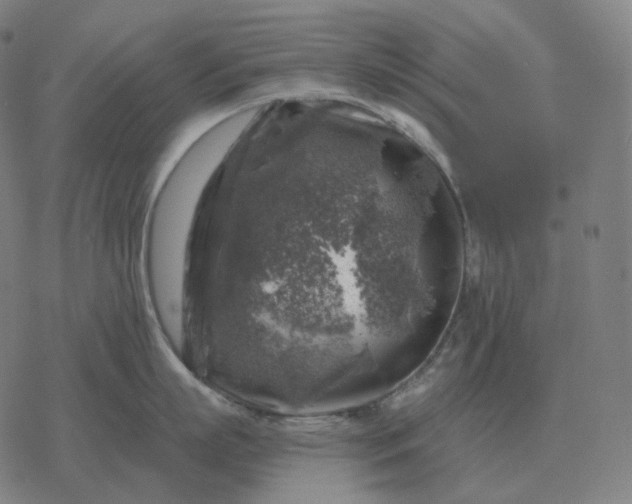 X0000068890863200605122032