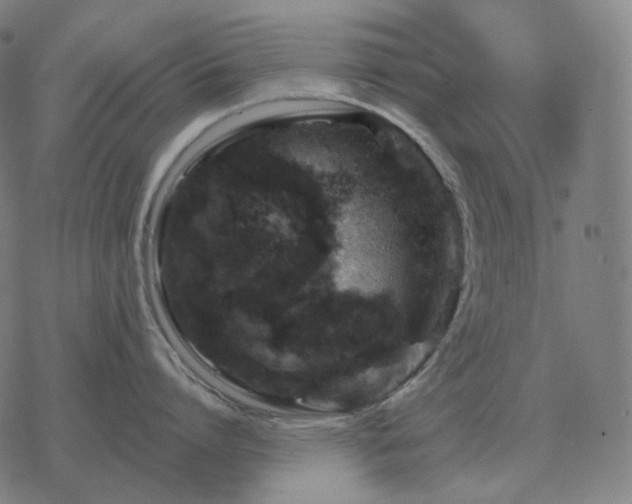 X0000068890864200605122032