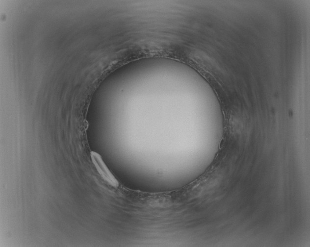 X0000068890865200605122031