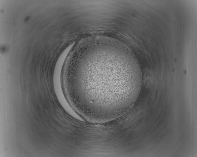 X0000068890866200605122031