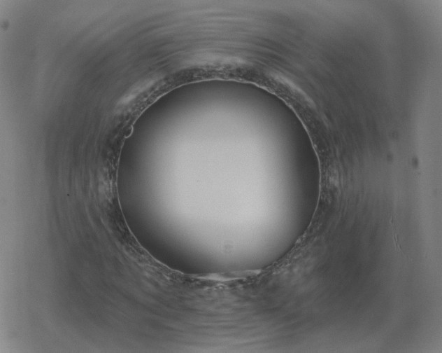 X0000068890869200605122031