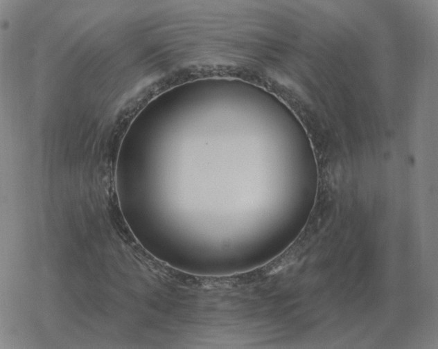 X0000068890870200605122031