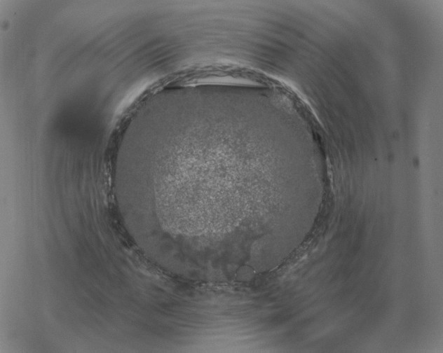 X0000068890871200605122031