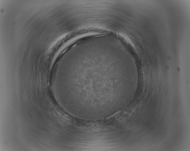 X0000068890872200605122031