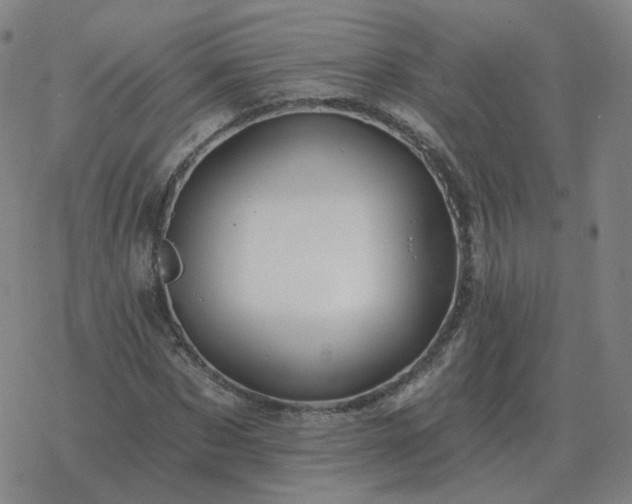 X0000068890873200605122031