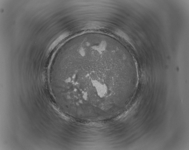 X0000068890874200605122031