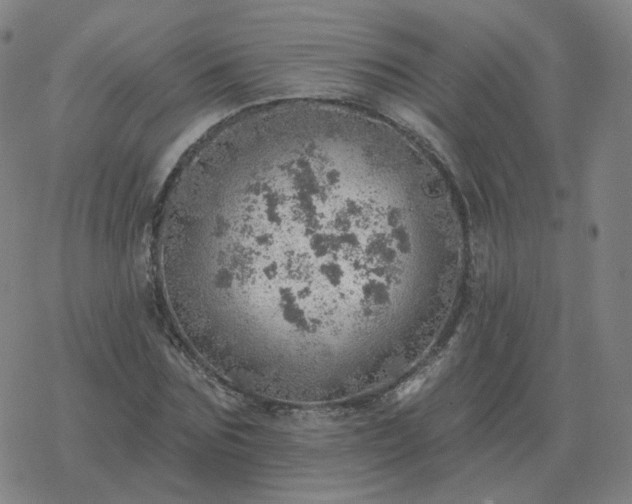 X0000068890875200605122031