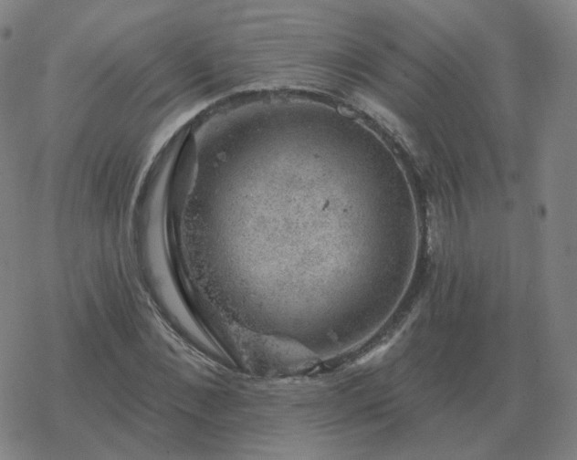 X0000068890876200605122031