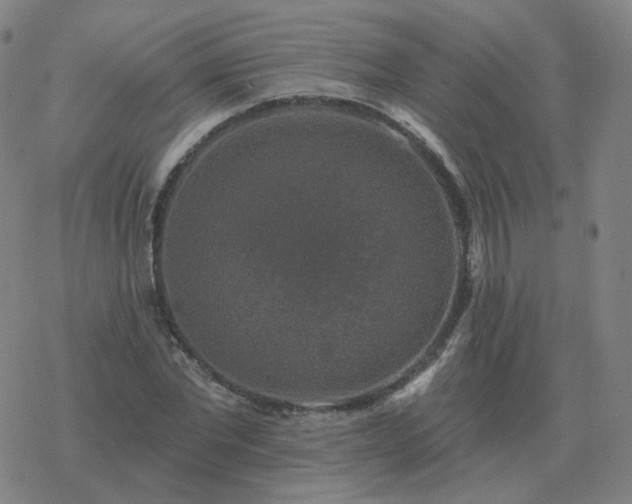 X0000068890877200605122031