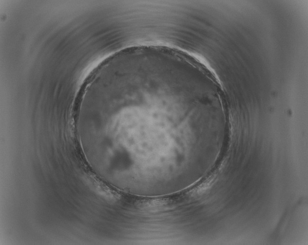 X0000068890879200605122031