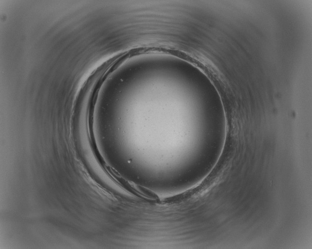 X0000068890880200605122031