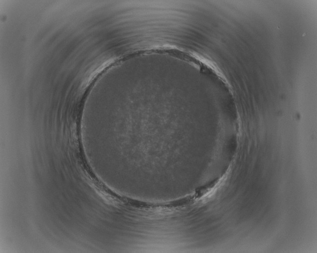 X0000068890881200605122031