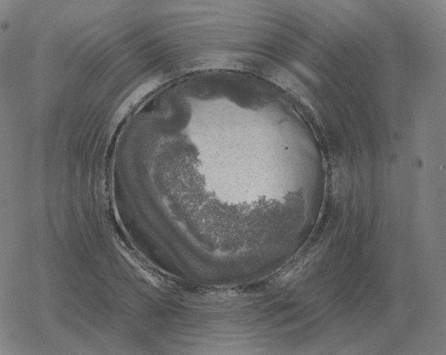 X0000068890882200605122031