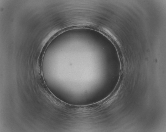 X0000068890883200605122031