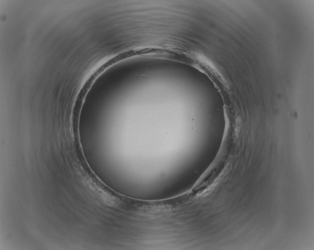 X0000068890884200605122031