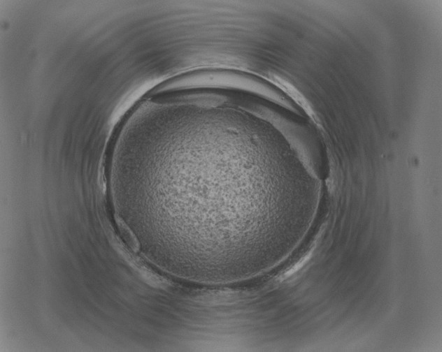 X0000068890885200605122031