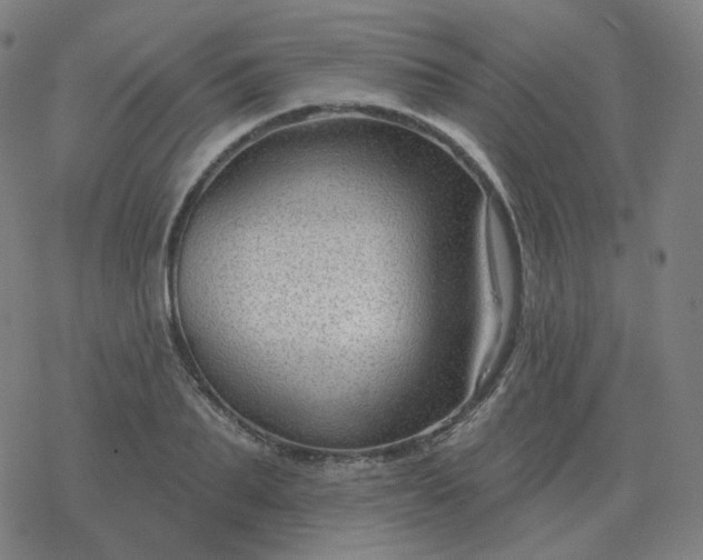 X0000068890887200605122031