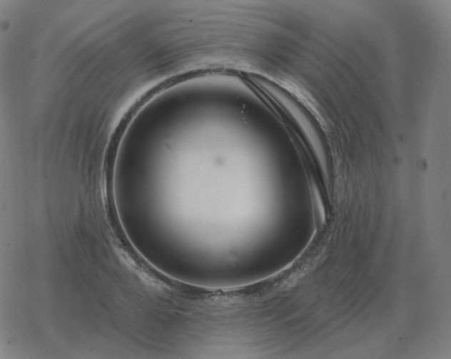 X0000068890888200605122031